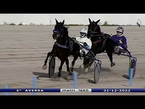 Aversa trotto 31 Dicembre 2022 - 5° Corsa