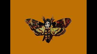 Lamb - Butterfly Effect