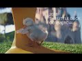 2018 The Little Duck Disneyland Paris Commercial