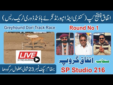 Live Dori Track Race || 1 to 66 Dour || Round No 1 ||  23 Chak Sargodha ||  #dog #dori #pets