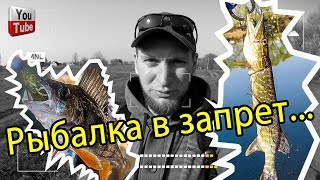 Во время нереста разрешено ловить на спиннингом