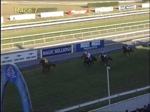 Flying Minstrel (Winning Gold Coast 9 July 2011)