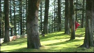 Bhigi - Bhigi Noni song artwork