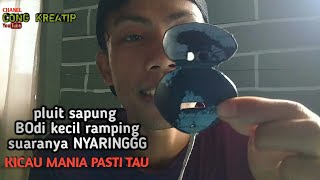 Download lagu belajar cara meniut pluit sapung || burung murai kacer pasti nyaut || ampuh untuk pikat mp3