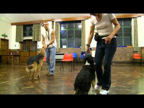 The Leader of the Pack with Dima Yeremenko by Michael Slowe