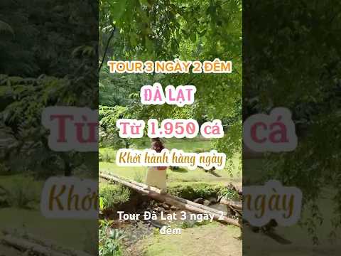 Video về Tour Sài Gòn đi Đà Lạt 3 ngày 2 đêm khám phá địa điểm hấp dẫn