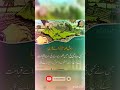 KISI KI ZAMEEN KHANA SAI JAHANNUM MAI BADTAREEN AZAAB HOGA Islam Best