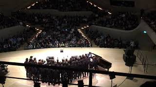 Hamburger Goldkehlchen in der Elphie