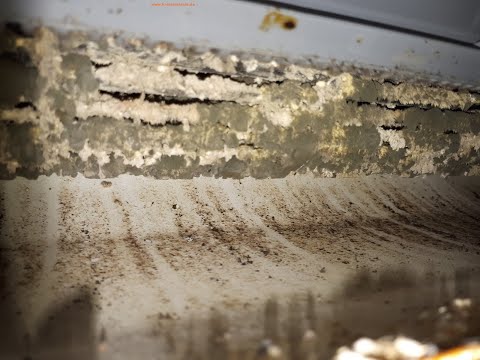 Klimaanlagen und Klimageräte richtig reinigen, putzen und desinfizieren