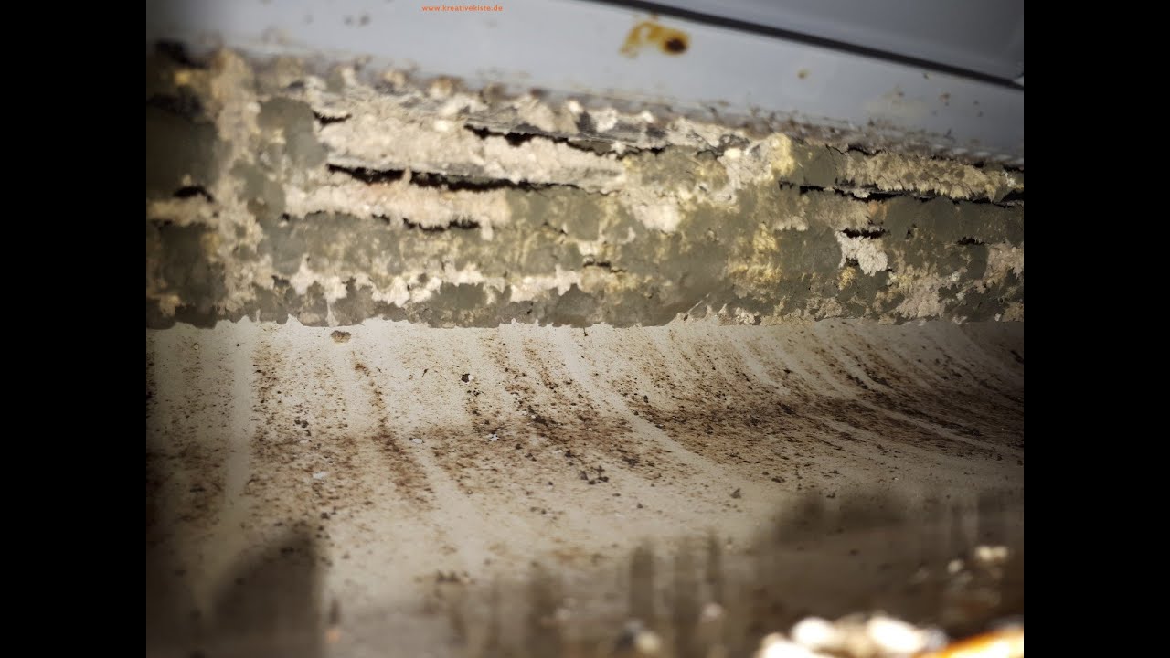 Klimaanlagen und Klimageräte richtig reinigen, putzen und desinfizieren