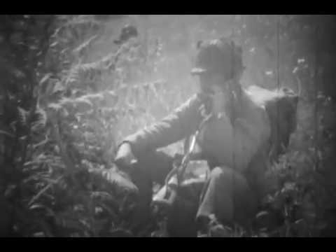 29th Infantry Division - Couvains - Normandie - 17/06/1944 - DDay-Overlord