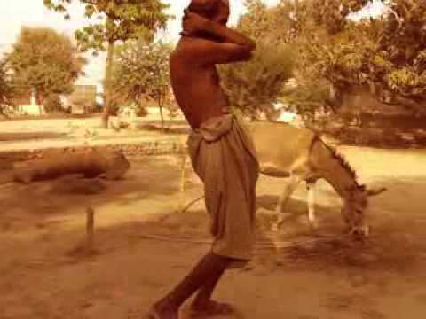 tribute to hot chocolate