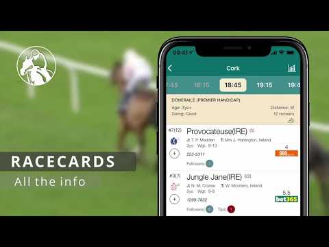 Horse Racing  Tracker - Tips video thumbnail