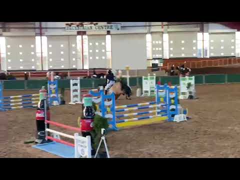 Biddesden Temerity Octoner 2022