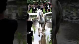 Download lagu MELIHAT KUDA PUTIH BERSAYAP - PEGASUS #amazing #pegasus #trending mp3