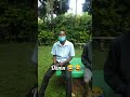 Maseno University Finest Park Pungulu Pangala