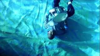 Los paranoias - my fish half dying