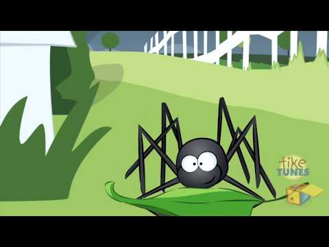 L'araignée Gypsie (Itsy Bitsy Spider en français)