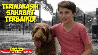 Download lagu Pelajaran Luar Biasa Dari Seekor Anjing Yang Menjadi Sahabatnya | Alur Cerita Film THINK LIKE A DOG mp3