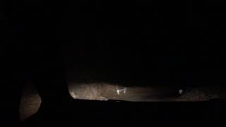 正丸峠行ってみた 心霊スポット！？