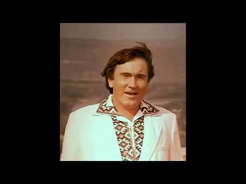 Teodor Negară - Tot mă-ntreabă lumea-n sat (anii '70-'80)