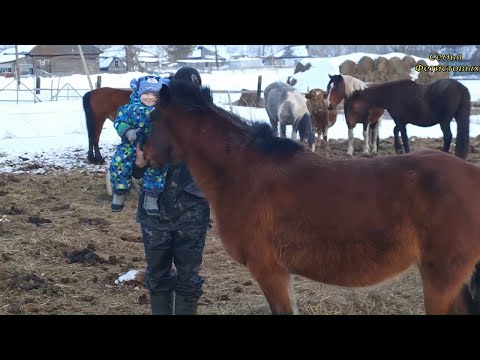 Куда пропали? Много нового.Нужный заказ из магазина Грандсток // Семья Фетистовых