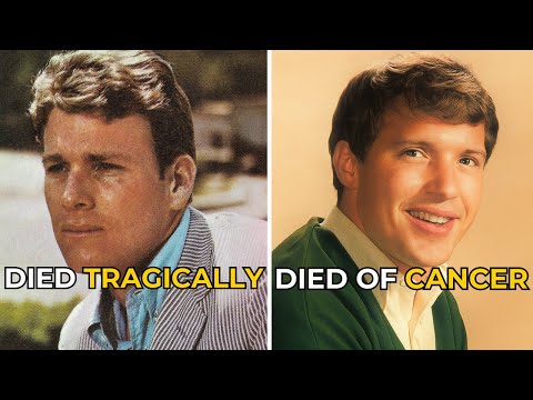 All 13 Peyton Place (1964–1969) Stars Are Dead – The Tragic Truth Behind the Show