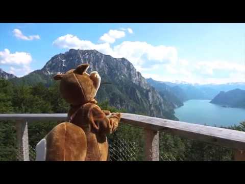 Der Baumwipfelpfad auf dem Grünberg in Gmunden