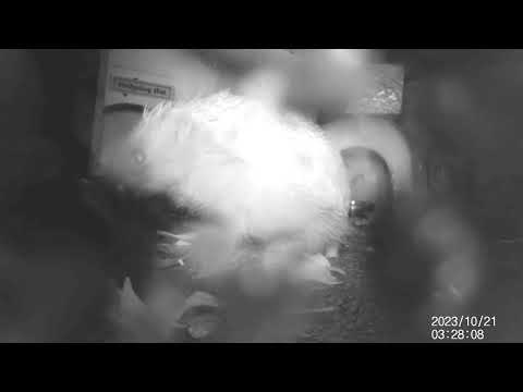 2023 10 21 01:20 to 2023 10 21 04:50