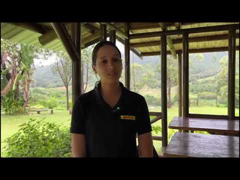 testimonial video