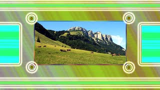 Jeff Healey Band - Hell To Pay