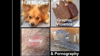 Hal McGee: Graphic Violence, Nudity & Pornography microcassette tape collage