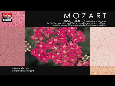 download lagu mp3 mp4 Mozart Opera Overtures, download mp3 Mozart Opera Overtures free downloadn, video klip Mozart Opera Overtures