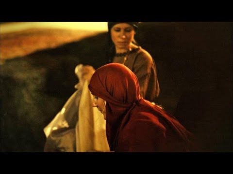 What Really Went on in the Ottoman Harem?