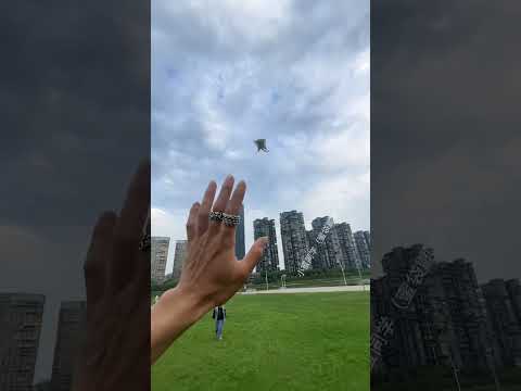 不好意思没接住～它好像生气了怎么办？#第一视角 #蜜袋鼯小飞鼠#萌宠#回旋飞手