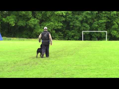 Dmitry Dudukin and Cid vom Rottberg - BH - Rottweil 2013