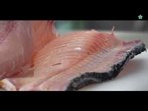 Základy zpracování ryb – filetování kapra pro leváky