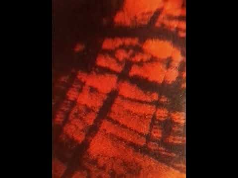 Adinon le nerveux x fanny sennan