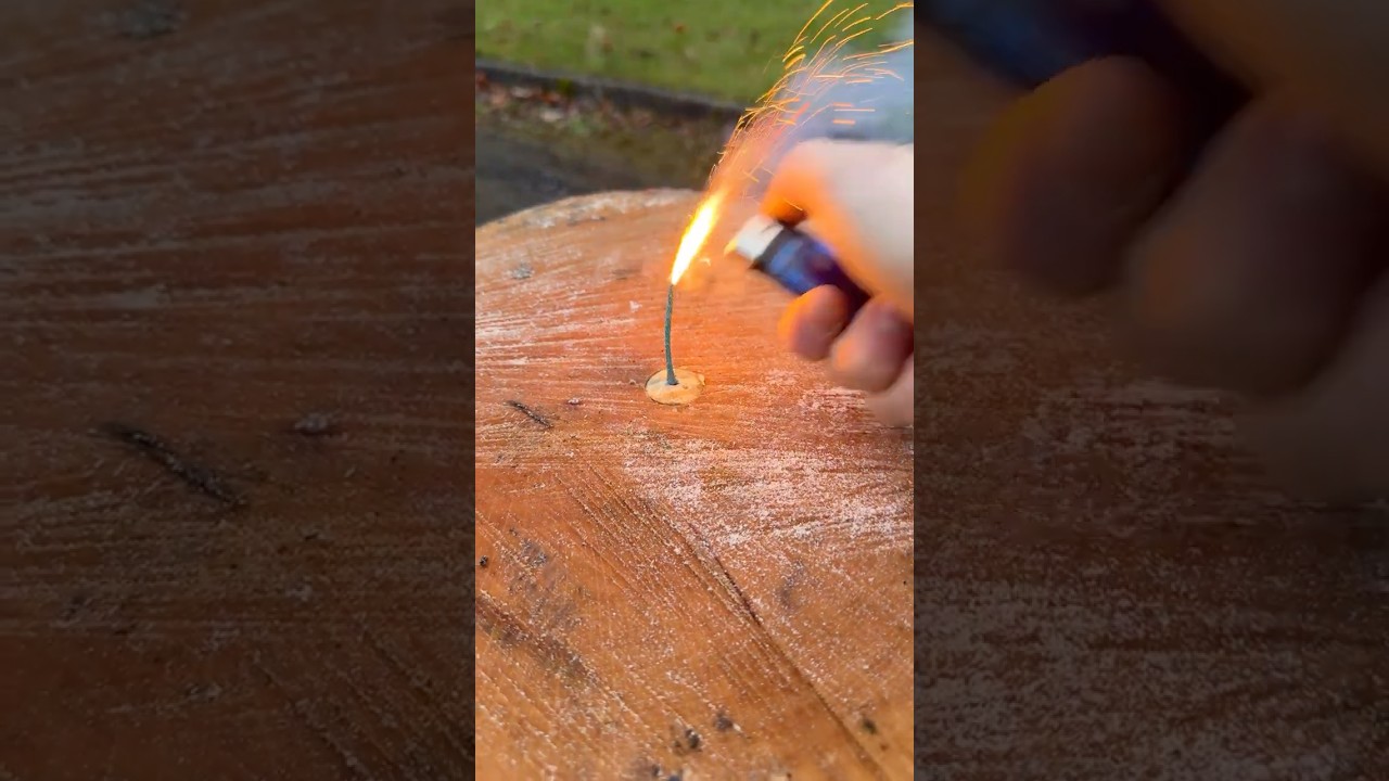 An Oddly Satisfying Wood Split #shorts