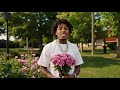 NBA YoungBoy You Me Official Video