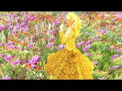 Angelo Branduardi - Va où le vent te mène - 3D