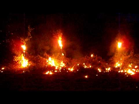 Molotov Cocktail Explosion