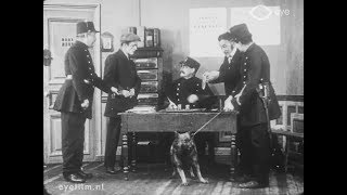 Le chien voleur