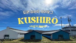 도쿄 사는 집순이 | 로컬 감성 가득한 쿠시로🌈