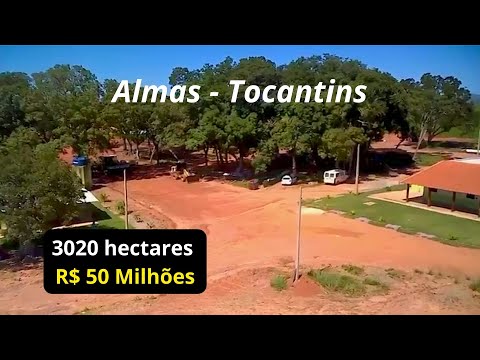 Fazenda pronta com 3020 HA em Almas-TO/ Soja em Produção e Jazida de Calcário