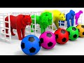 Baby Boss Dance Monkey Cute Little Kids Video Learn Color Lion Fountain Crossing Challenge
