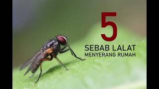 Download lagu 5 SEBAB KENAPA RUMAH BANYAK LALAT mp3