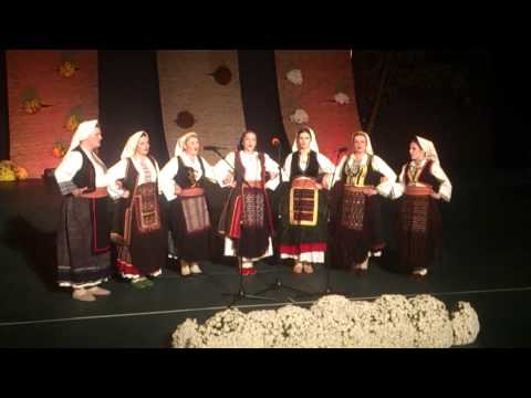 Zaljevala Smilja smilje - Neven