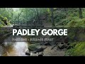 Padley Gorge (Part 1), Derbyshire - DJI Mini 3 Footage
