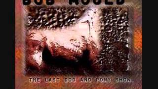 Bob Mould - Sweet Serene